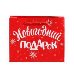 Пакет бумажный "Новогодний подарок" 5,5х15х12 см 4262325