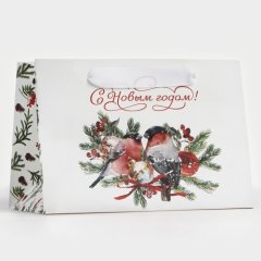 Пакет бумажный "Снегири" 20х14х13 см 9667714
