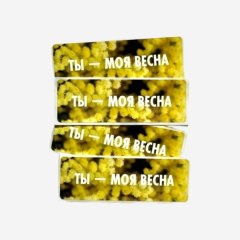 Наклейки декоративные "Ты-моя весна!" 