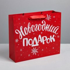 Пакет бумажный "Новогодний подарок" 23х27х11,5 см 
